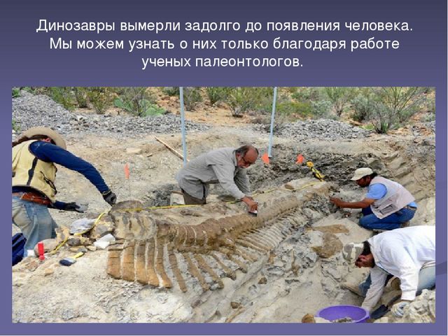 Презентация "Эра динозавров-причины вымирания"