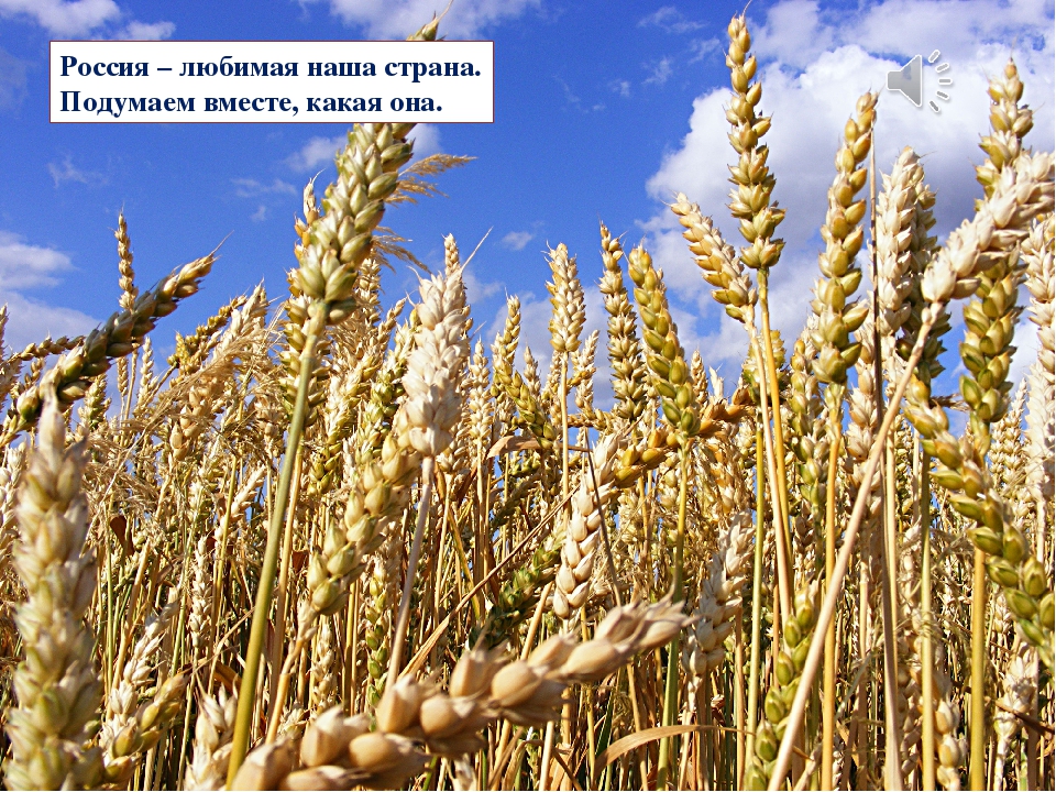 Презентация "Наша малая Родина"