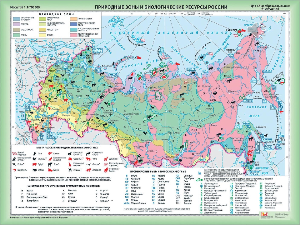 Презентация "Наша малая Родина"