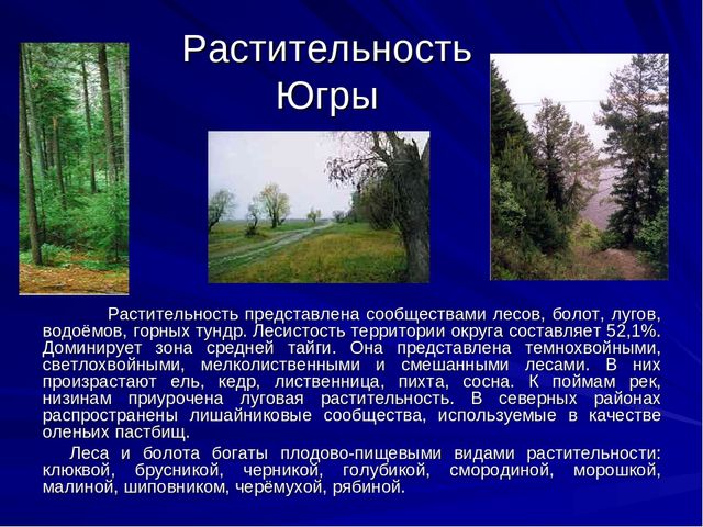 Презентазия про наш Ханты-Мансийский округ-Югра