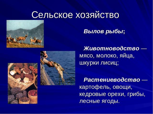 Презентазия про наш Ханты-Мансийский округ-Югра