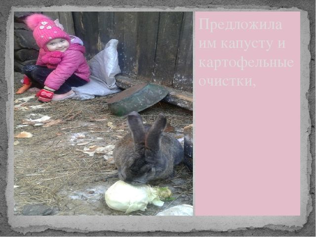 Презентация "Мои любимые пушистики"