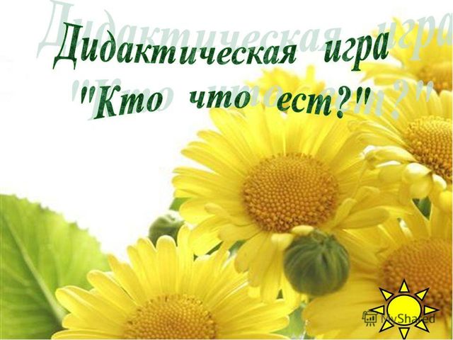 Презентация "Дикие и домашние животные"