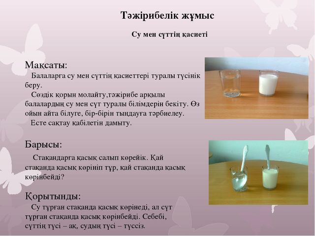 Презентация Портфолио воспитателя на казахском языке