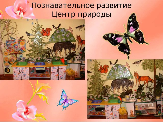 Презентация на тему: "Предметно - развивающая среда в средней группе в соответствии с ФГОС ДО"