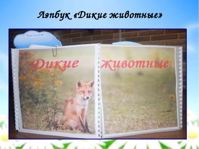 "Лэпбук как современное средство обучения экологической грамотности детей дошкольного возраста"