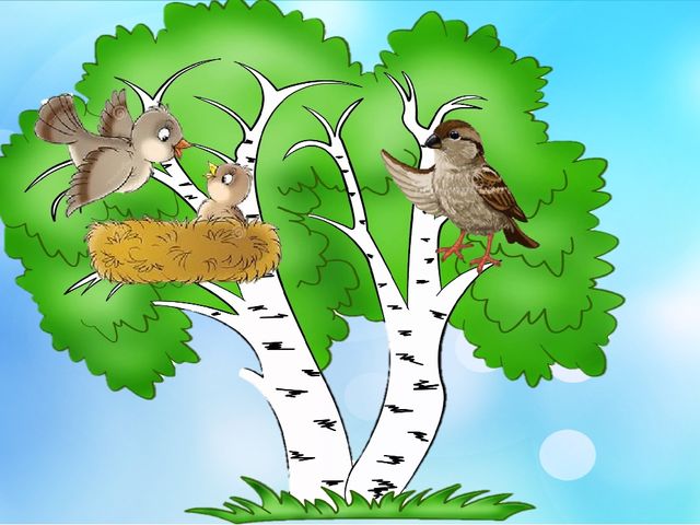 Воробьев березка. Воробей рисунок. Изображение дерева и воробья. Изображение воробья для детей. Открытки с гнездом на дереве.