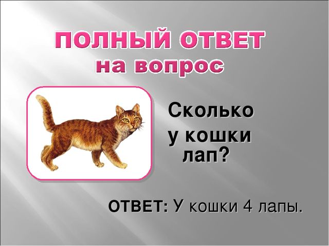Презентация родительского собрания "Подготовка к 1 классу"