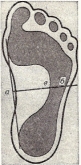 Shape4