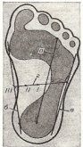 Shape5