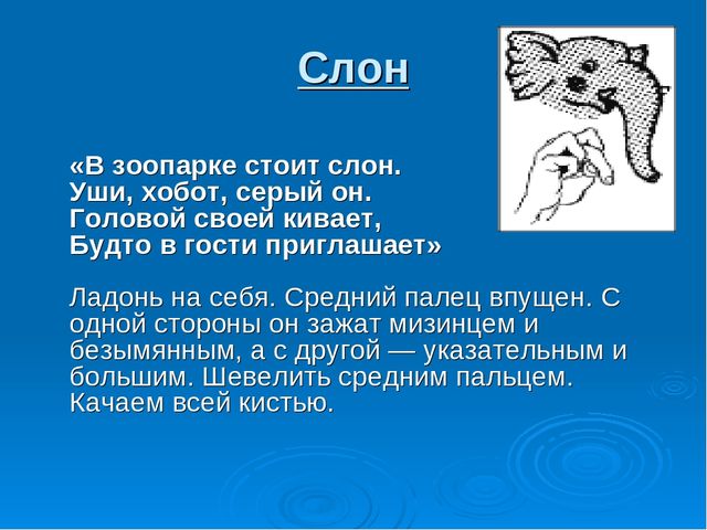 Презентация "Развитие мелкой моторики у дошкольников как средство подготовки руки к письму"