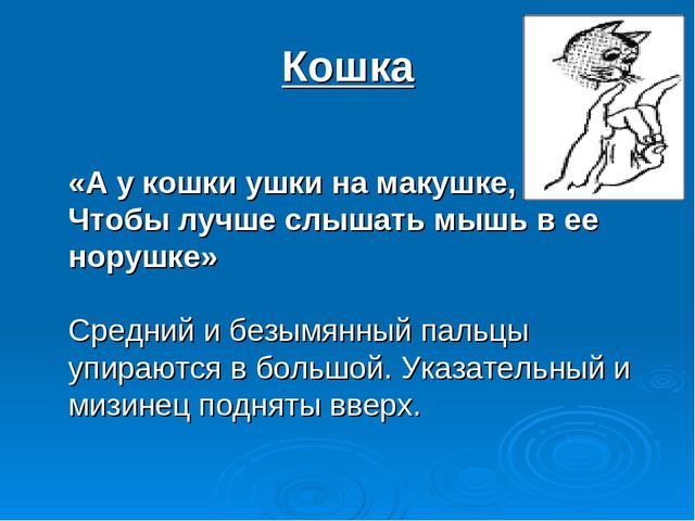 Презентация "Развитие мелкой моторики у дошкольников как средство подготовки руки к письму"