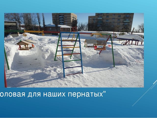 Презентация зимнего участка "Зимняя сказка"