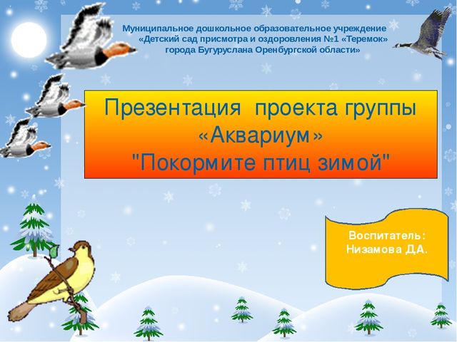 Презентация проекта "Покормите птиц зимой!"