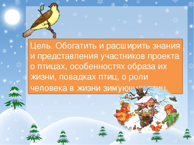 Презентация проекта "Покормите птиц зимой!"
