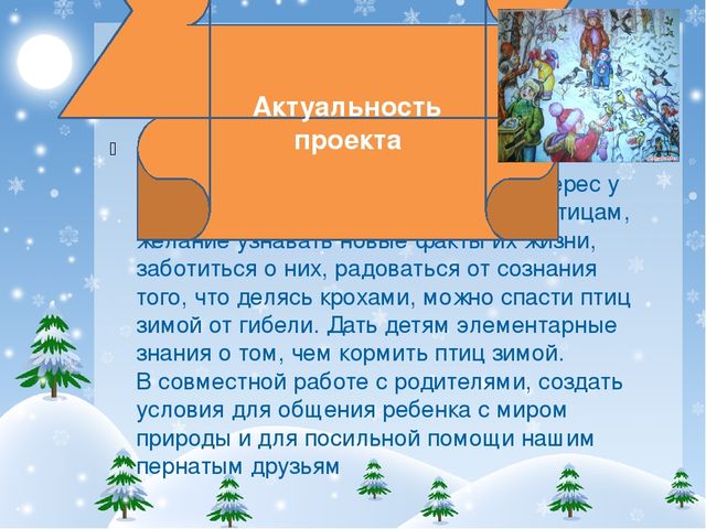 Презентация проекта "Покормите птиц зимой!"