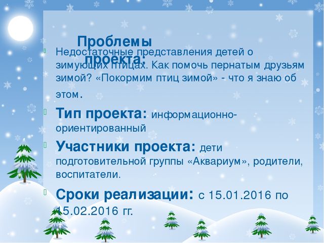 Презентация проекта "Покормите птиц зимой!"