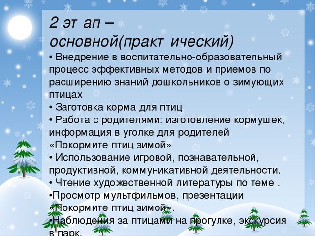 Презентация проекта "Покормите птиц зимой!"