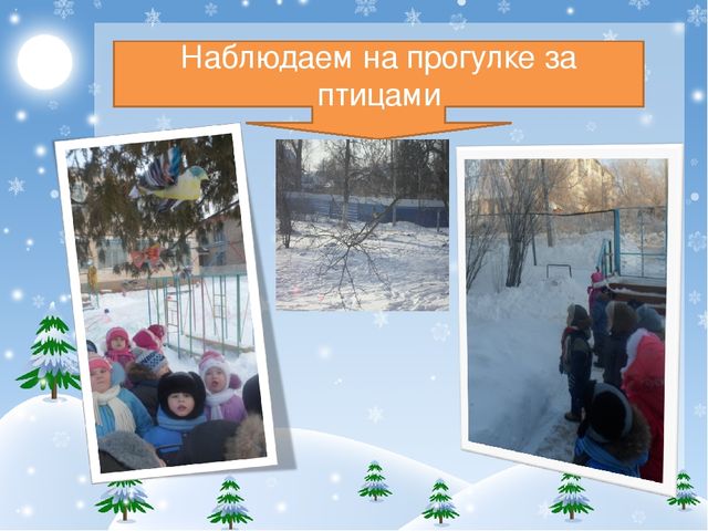 Презентация проекта "Покормите птиц зимой!"