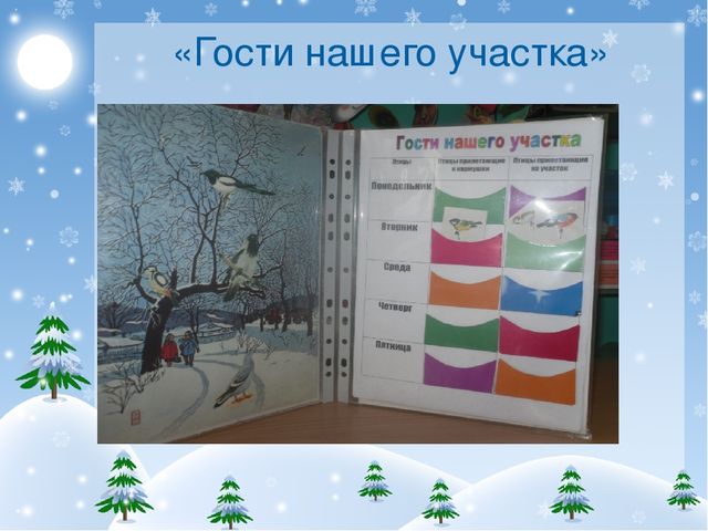 Презентация проекта "Покормите птиц зимой!"
