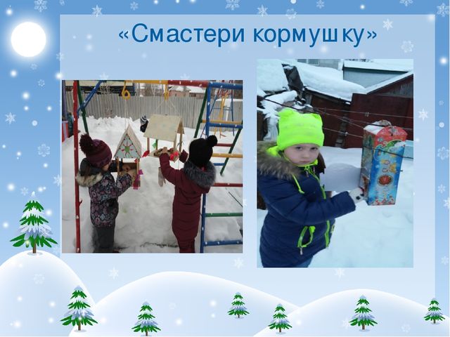 Презентация проекта "Покормите птиц зимой!"