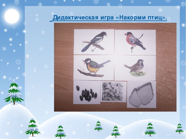 Презентация проекта "Покормите птиц зимой!"