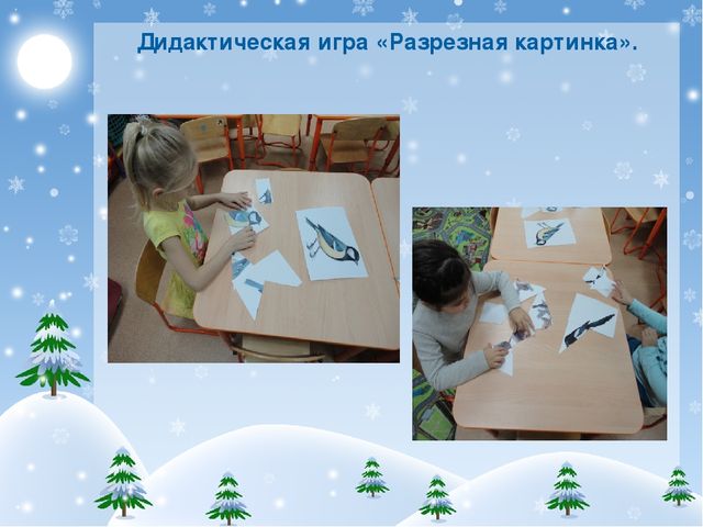Презентация проекта "Покормите птиц зимой!"