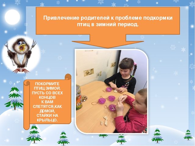 Презентация проекта "Покормите птиц зимой!"