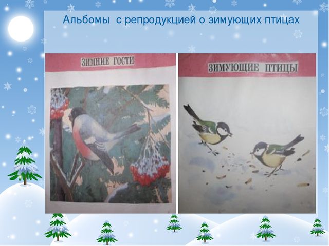 Презентация проекта "Покормите птиц зимой!"