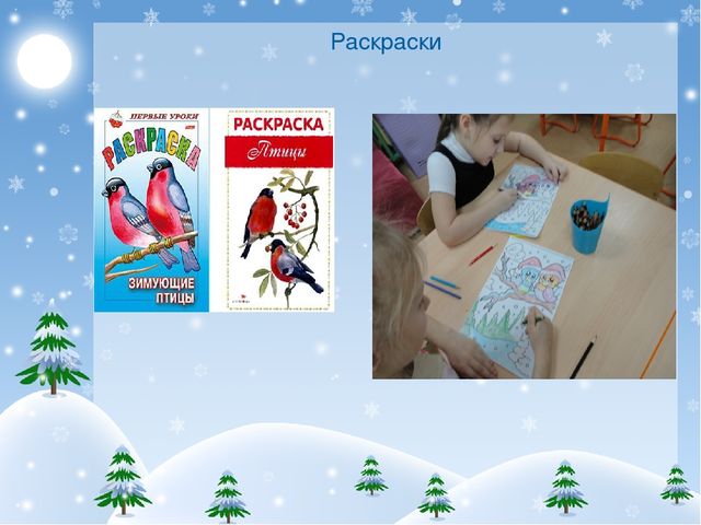 Презентация проекта "Покормите птиц зимой!"