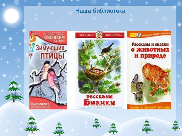 Презентация проекта "Покормите птиц зимой!"