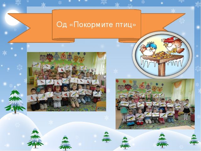 Презентация проекта "Покормите птиц зимой!"