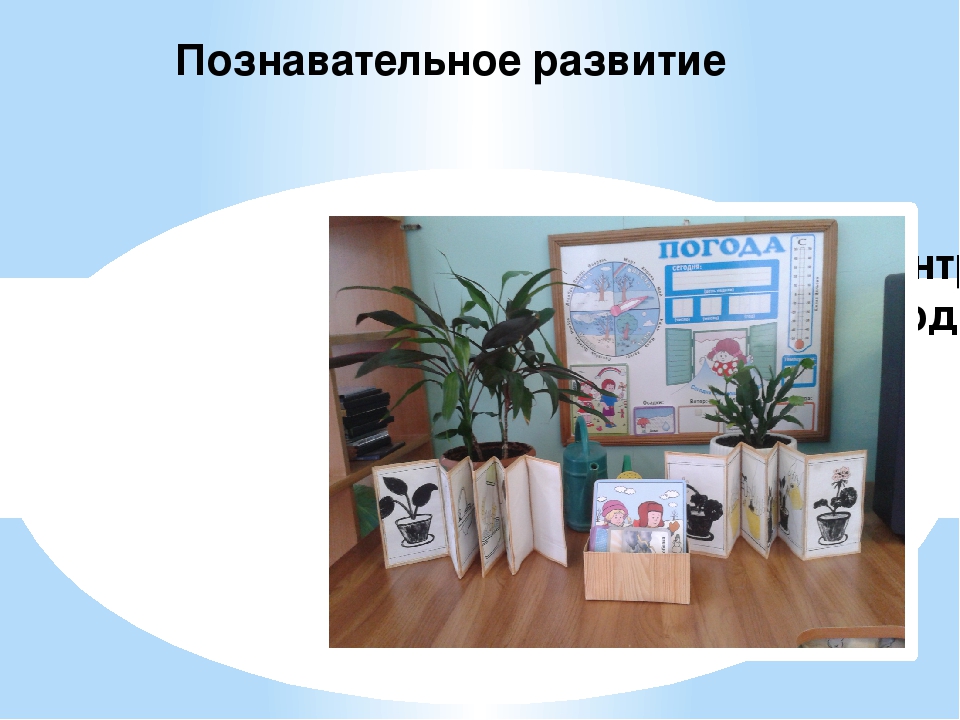 Создание развивающей предметно- пространственной среды во 2-й младшей группе «Любознайки» в соответствии с ФГОС ДО