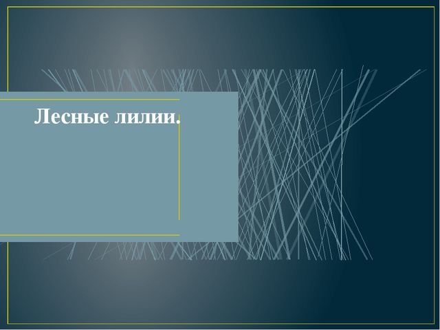 Презентация на тему: "Лесные лилии".