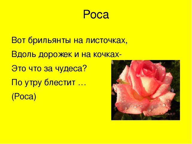Презентация для средней группы детского сада на тему :"Загадки о лете"