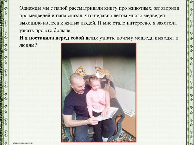 Презентация детского проекта "Почему медведи выходят к людям"
