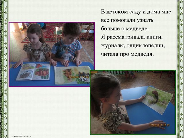 Презентация детского проекта "Почему медведи выходят к людям"