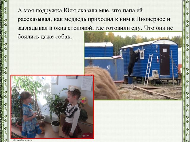 Презентация детского проекта "Почему медведи выходят к людям"