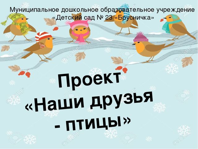 Птицы наши друзья и неутомимые помощники схема предложения