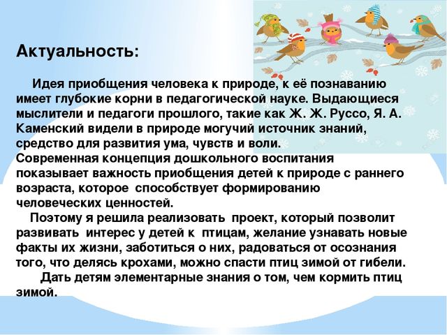 Проект "Птицы - наша друзья"