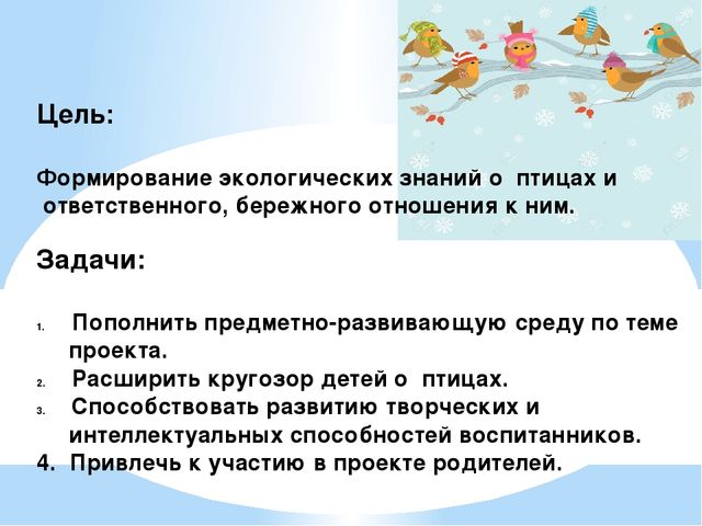 Проект "Птицы - наша друзья"