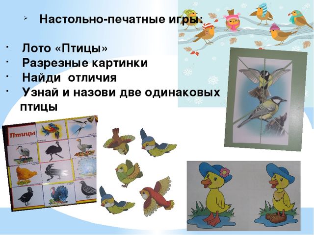 Проект "Птицы - наша друзья"