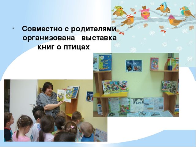 Проект "Птицы - наша друзья"
