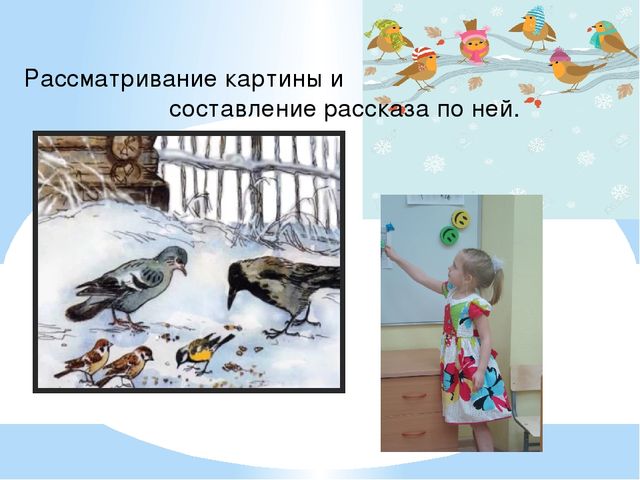 Проект "Птицы - наша друзья"