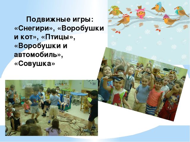 Проект "Птицы - наша друзья"