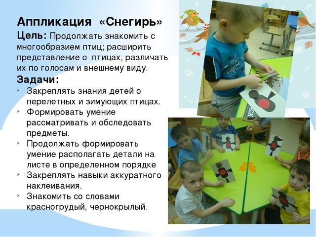 Проект "Птицы - наша друзья"