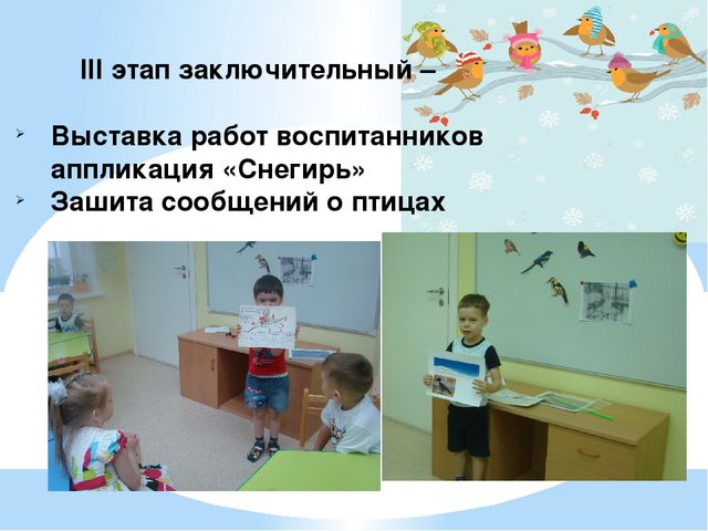 Проект "Птицы - наша друзья"