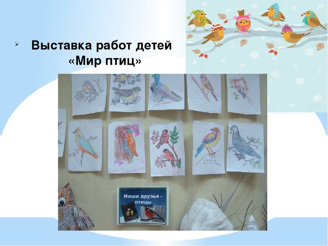 Проект "Птицы - наша друзья"