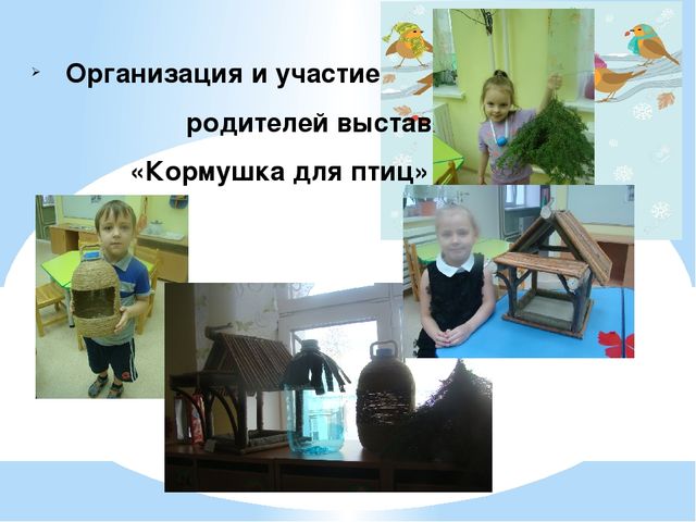 Проект "Птицы - наша друзья"