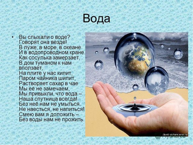 Презентация Экология "Вода источник жизни"